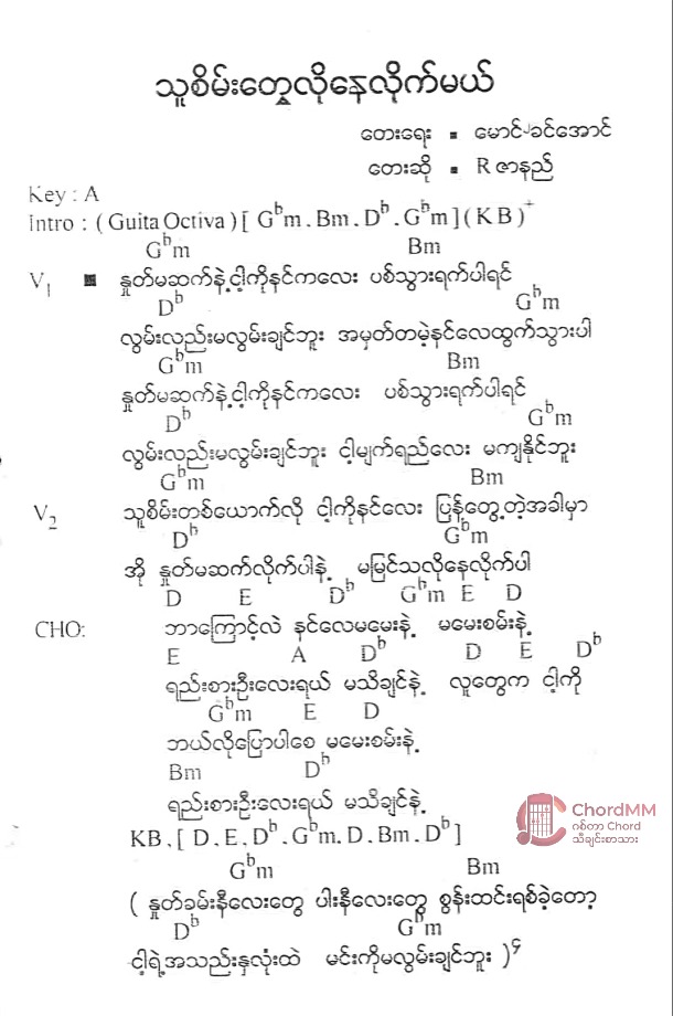 Thu Sein Tway Lo Nay Lite Mal - သူစိမ်းတွေလိုနေလိုက်မယ်